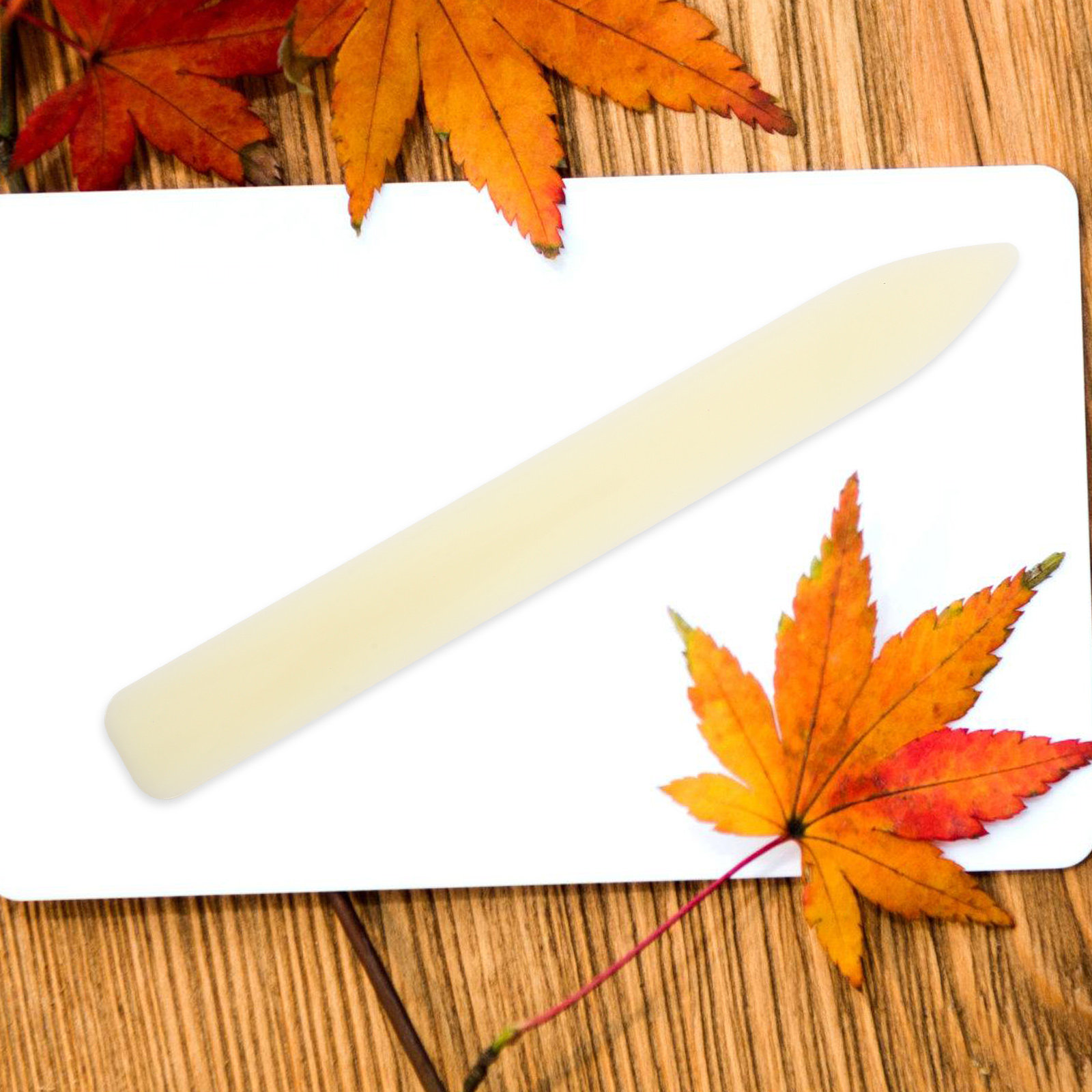 5 pcs Plastic Bone Folder Pape - Bone Folder Tool ulasan dan harga